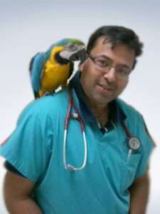 Dr. Mandeep Chaudhary
